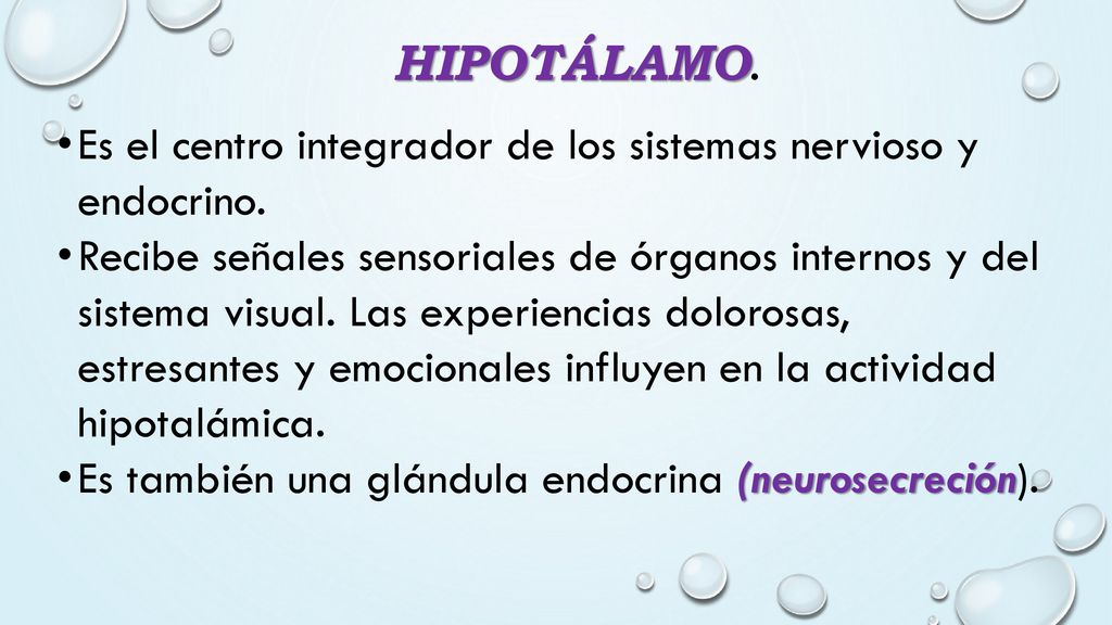 HIPOTÁLAMO. Es el centro integrador de los sistemas nervioso y endocrino.