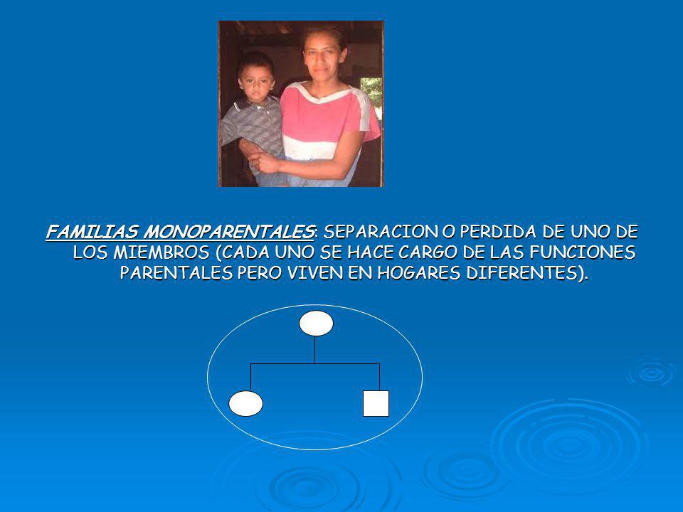 FAMILIAS MONOPARENTALES: SEPARACION O PERDIDA DE UNO DE LOS MIEMBROS (CADA UNO SE HACE CARGO DE LAS FUNCIONES PARENTALES PERO VIVEN EN HOGARES DIFERENTES).