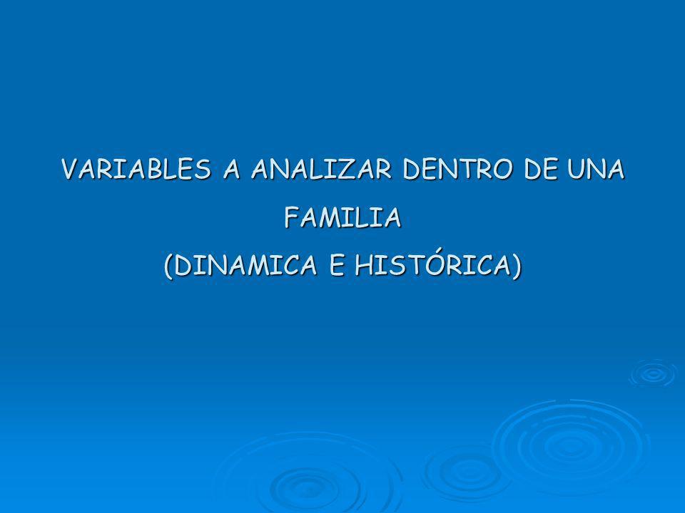 VARIABLES A ANALIZAR DENTRO DE UNA FAMILIA (DINAMICA E HISTÓRICA)