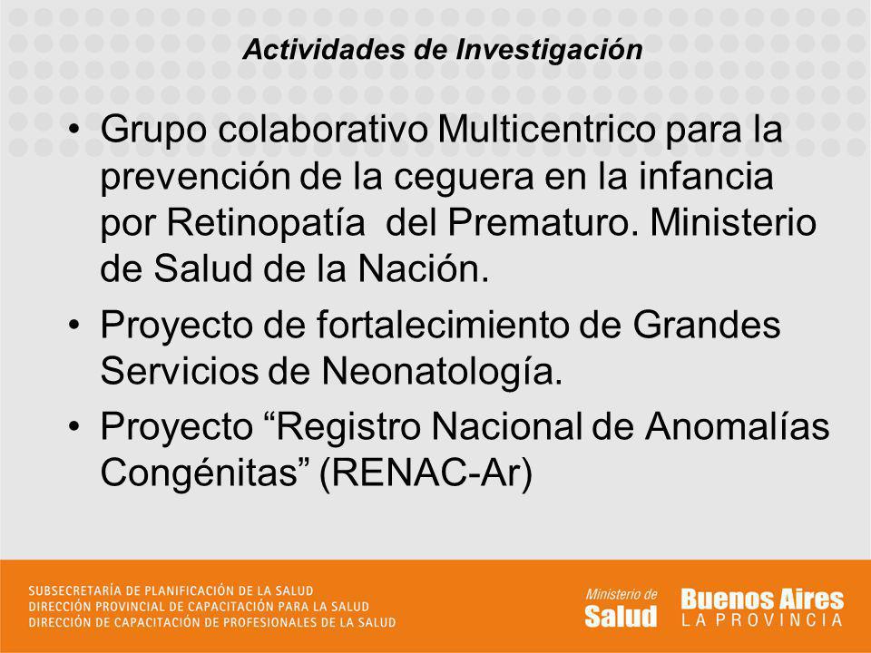 Actividades de Investigación