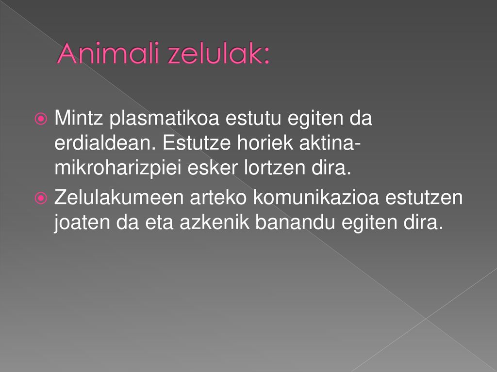 Animali zelulak: Mintz plasmatikoa estutu egiten da erdialdean. Estutze horiek aktina-mikroharizpiei esker lortzen dira.