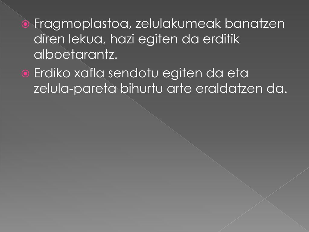Fragmoplastoa, zelulakumeak banatzen diren lekua, hazi egiten da erditik alboetarantz.
