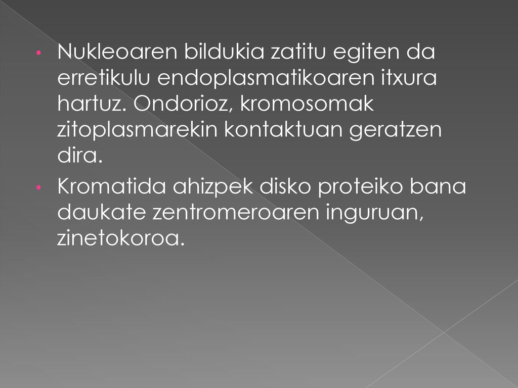 Nukleoaren bildukia zatitu egiten da erretikulu endoplasmatikoaren itxura hartuz. Ondorioz, kromosomak zitoplasmarekin kontaktuan geratzen dira.