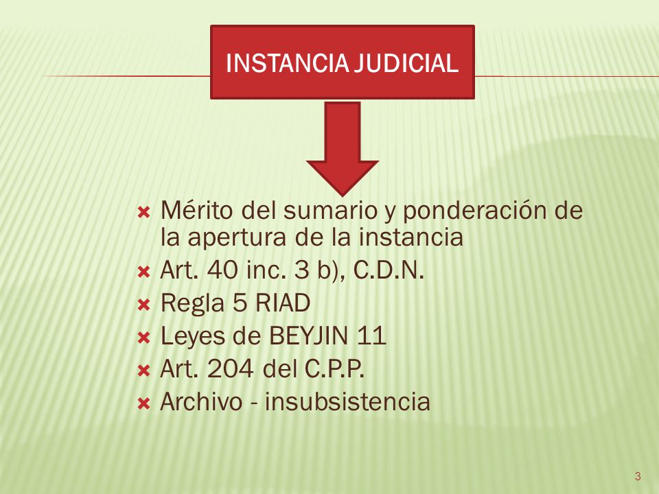 INSTANCIA JUDICIAL Mérito del sumario y ponderación de la apertura de la instancia. Art. 40 inc. 3 b), C.D.N.