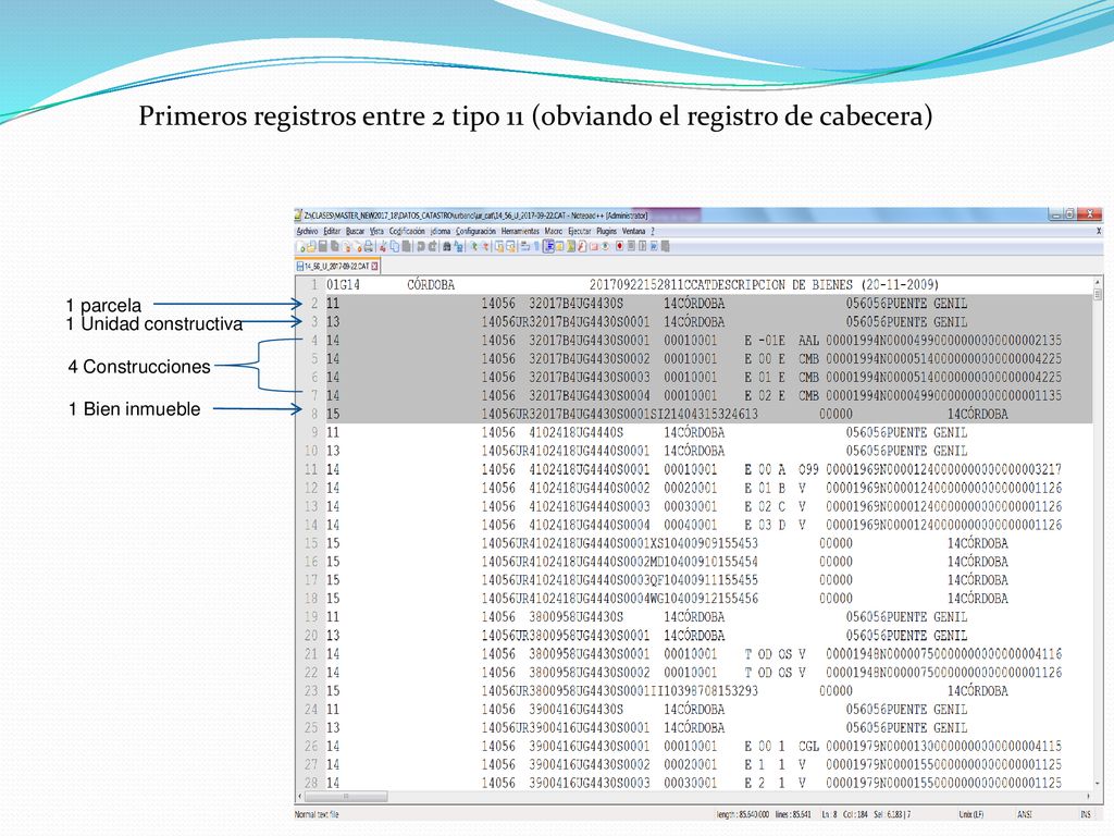 Primeros registros entre 2 tipo 11 (obviando el registro de cabecera)