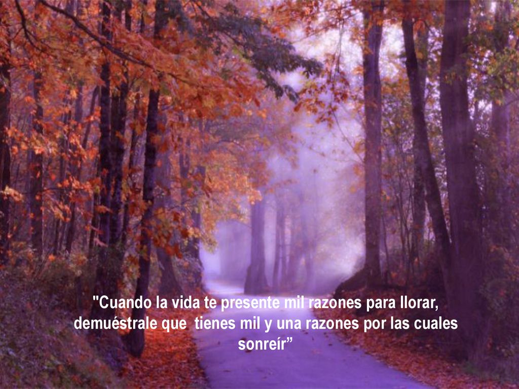 Cuando la vida te presente mil razones para llorar, demuéstrale que tienes mil y una razones por las cuales sonreír