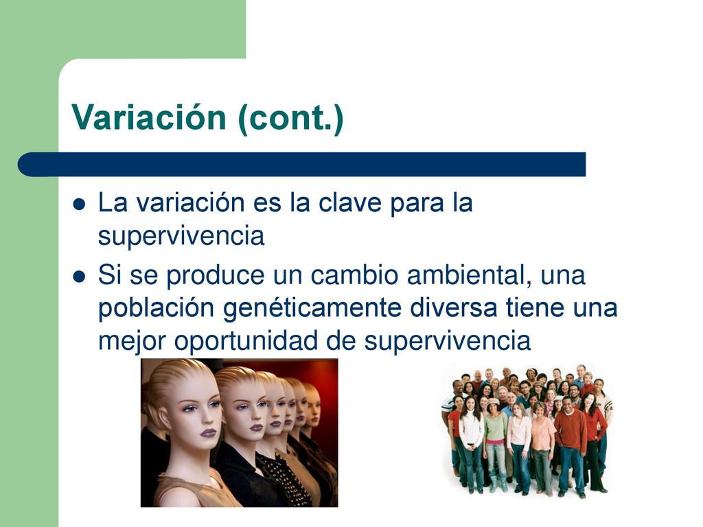 Variación (cont.) La variación es la clave para la supervivencia