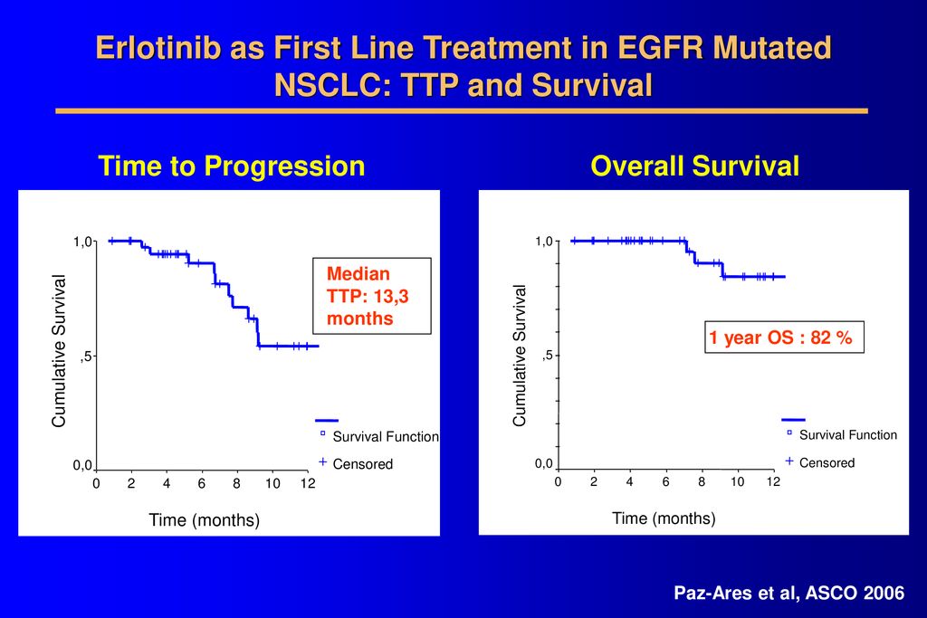 Erlotinib as First Line Treatment in EGFR Mutated NSCLC: TTP and Survival