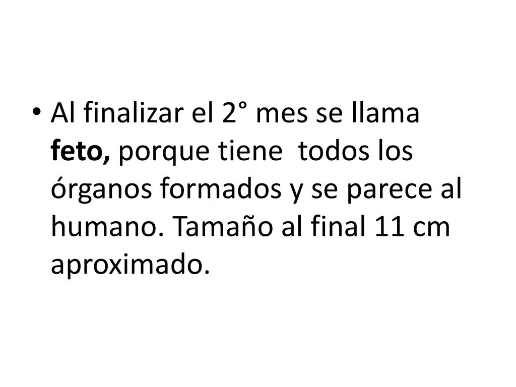 Al finalizar el 2° mes se llama feto, porque tiene todos los órganos formados y se parece al humano.