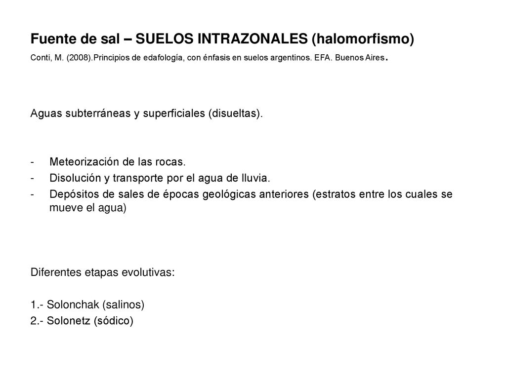 Fuente de sal – SUELOS INTRAZONALES (halomorfismo) Conti, M. (2008)
