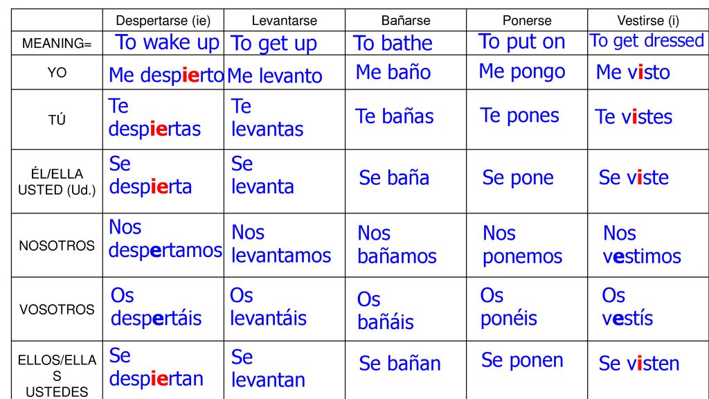 To wake up To put on To get up To bathe Me baño Me pongo Me despierto