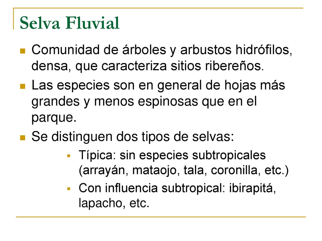 Selva Fluvial Comunidad de árboles y arbustos hidrófilos, densa, que caracteriza sitios ribereños.