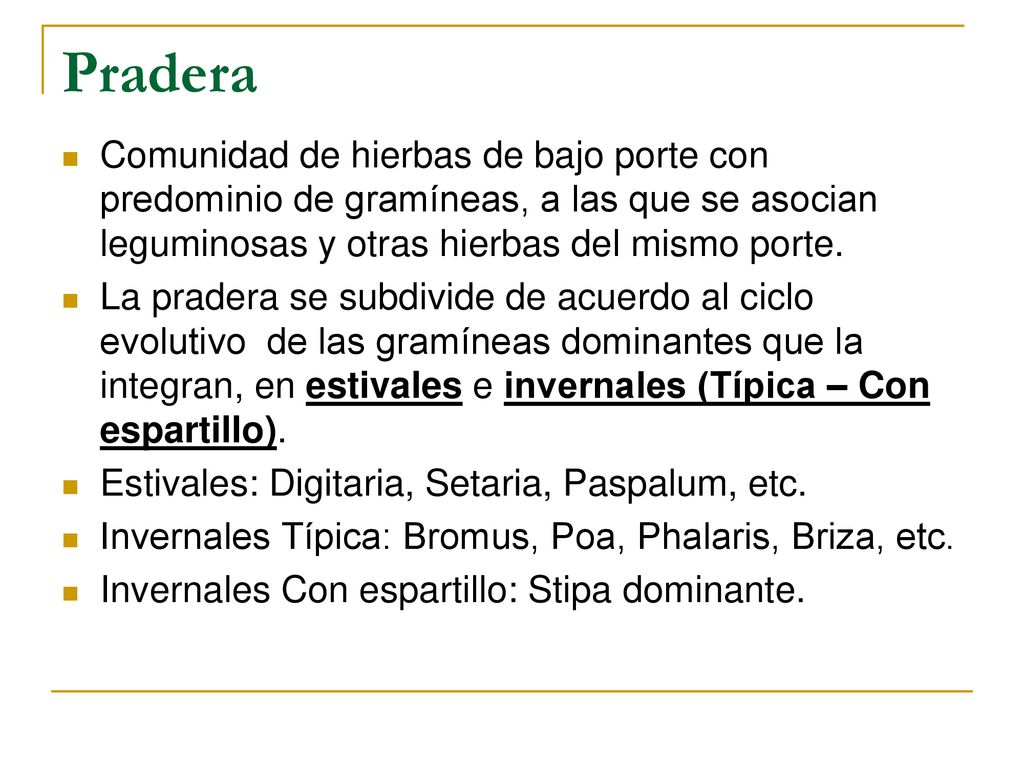 Pradera Comunidad de hierbas de bajo porte con predominio de gramíneas, a las que se asocian leguminosas y otras hierbas del mismo porte.