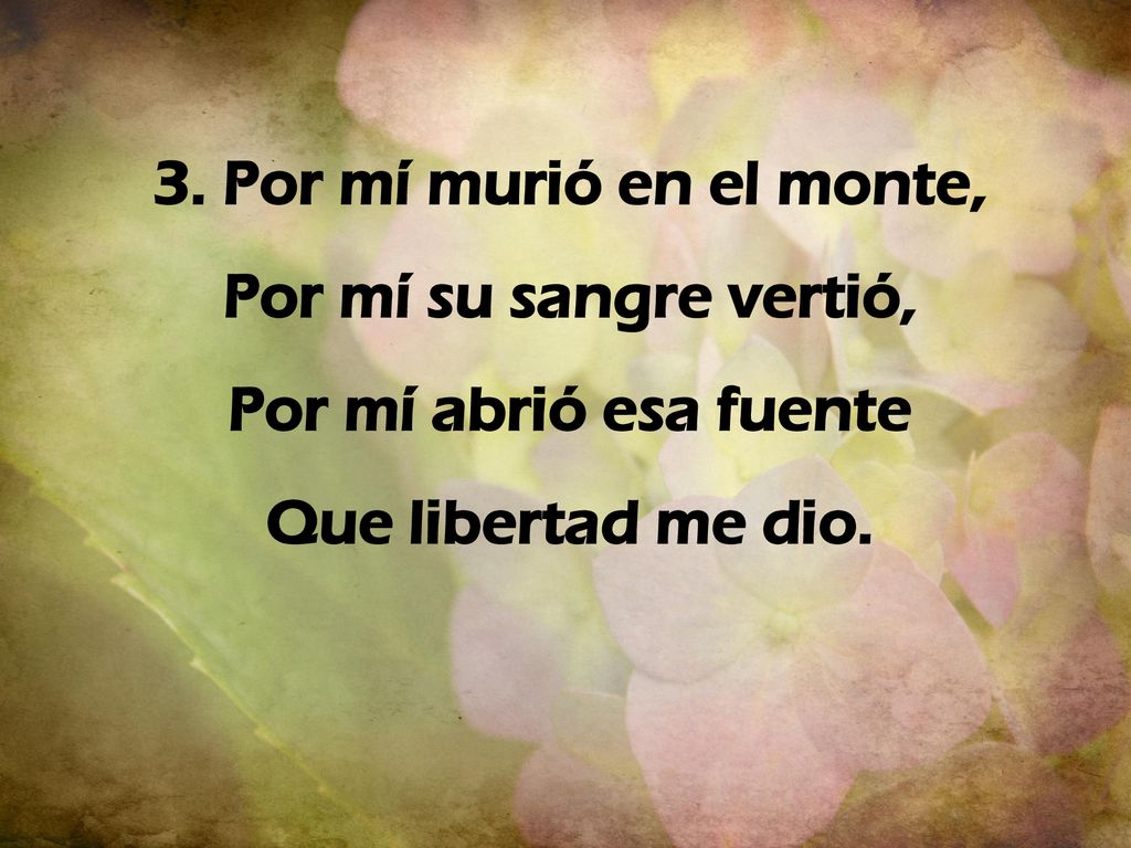3. Por mí murió en el monte, Por mí su sangre vertió, Por mí abrió esa fuente Que libertad me dio.