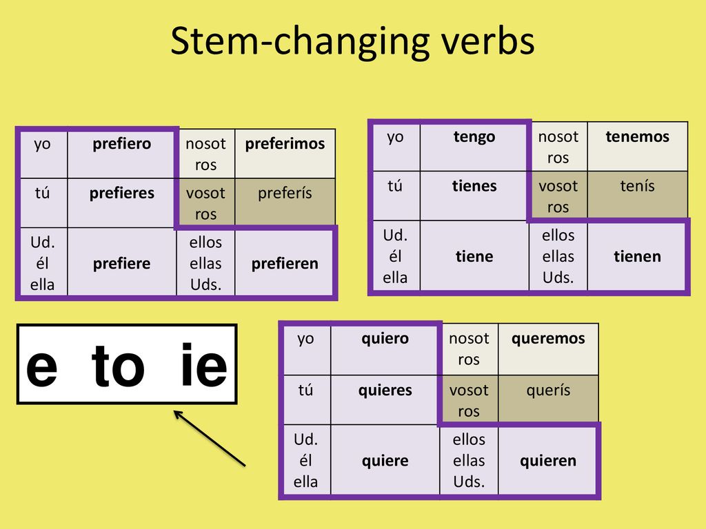e to ie Stem-changing verbs yo tengo nosotros tenemos tú tienes