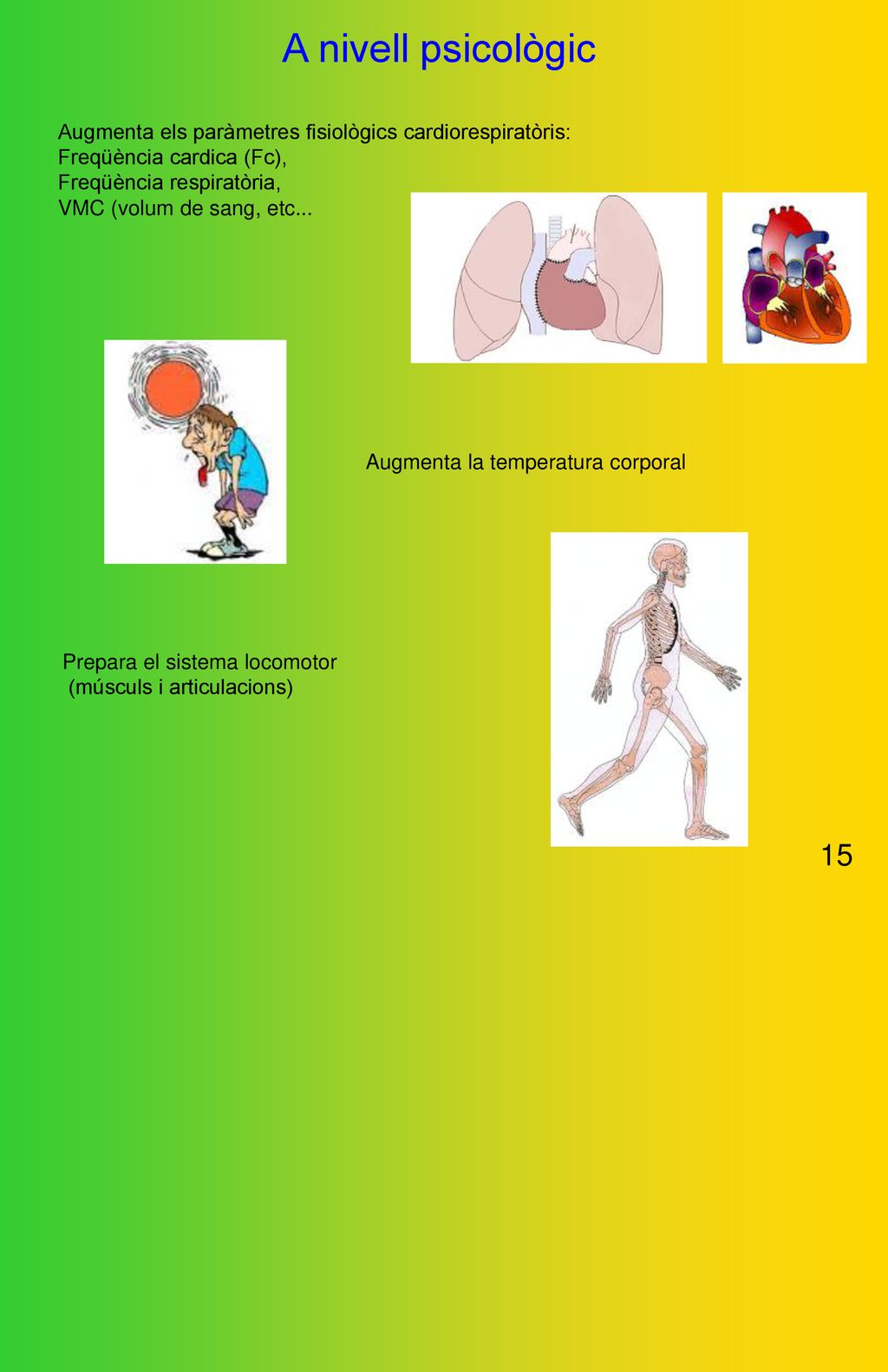 A nivell psicològic Augmenta els paràmetres fisiològics cardiorespiratòris: Freqüència cardica (Fc),