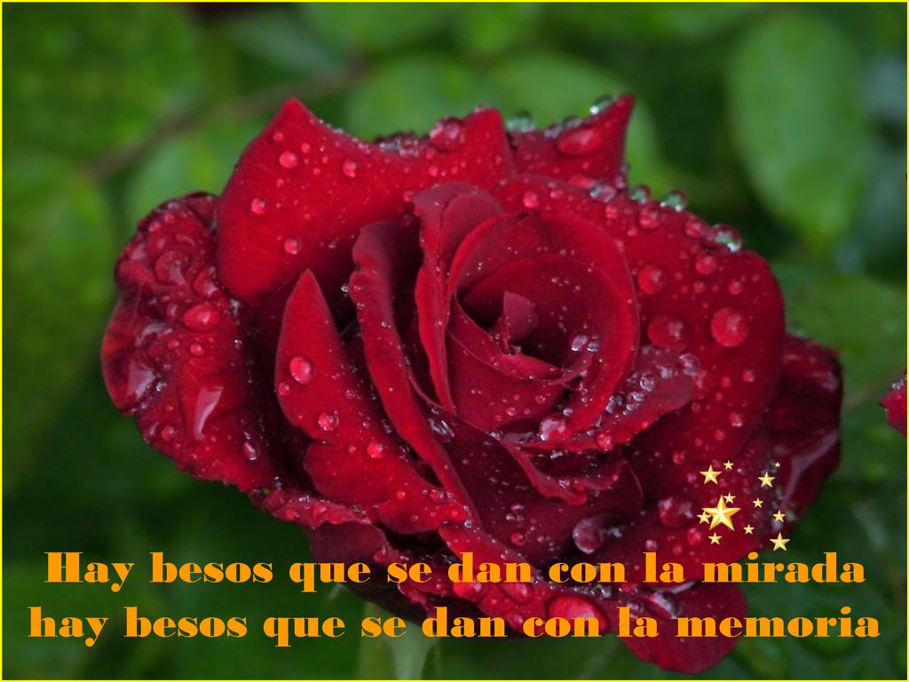 Hay besos que se dan con la mirada hay besos que se dan con la memoria