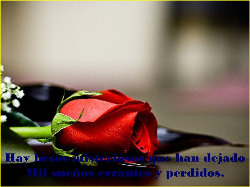Hay besos misteriosos que han dejado Mil sueños errantes y perdidos.