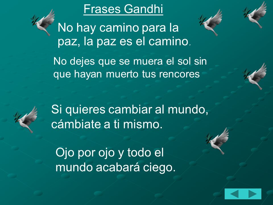 No hay camino para la paz, la paz es el camino.