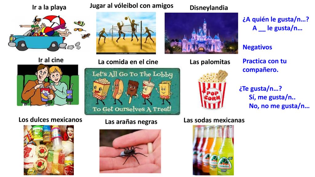 Ir a la playa Jugar al vóleibol con amigos. Disneylandia. ¿A quién le gusta/n… A __ le gusta/n…