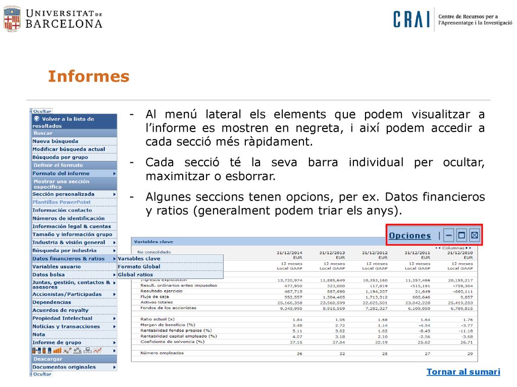 Informes Al menú lateral els elements que podem visualitzar a l’informe es mostren en negreta, i així podem accedir a cada secció més ràpidament.