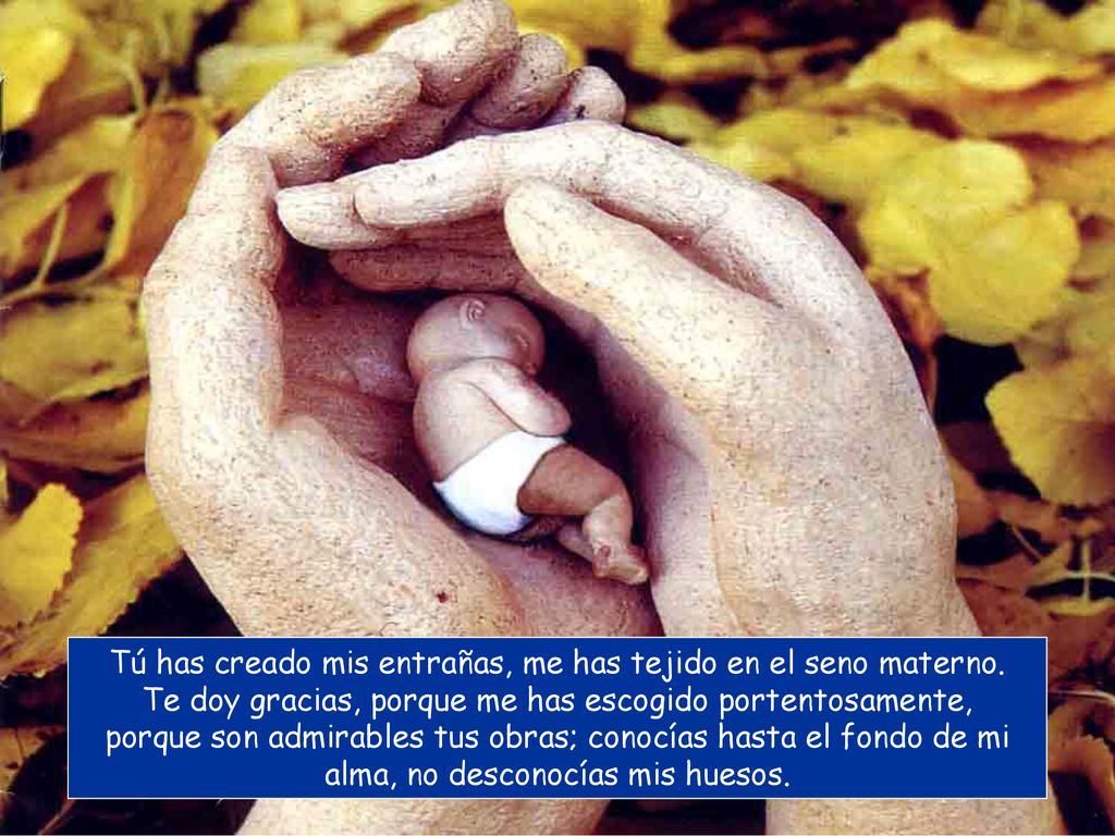 Tú has creado mis entrañas, me has tejido en el seno materno