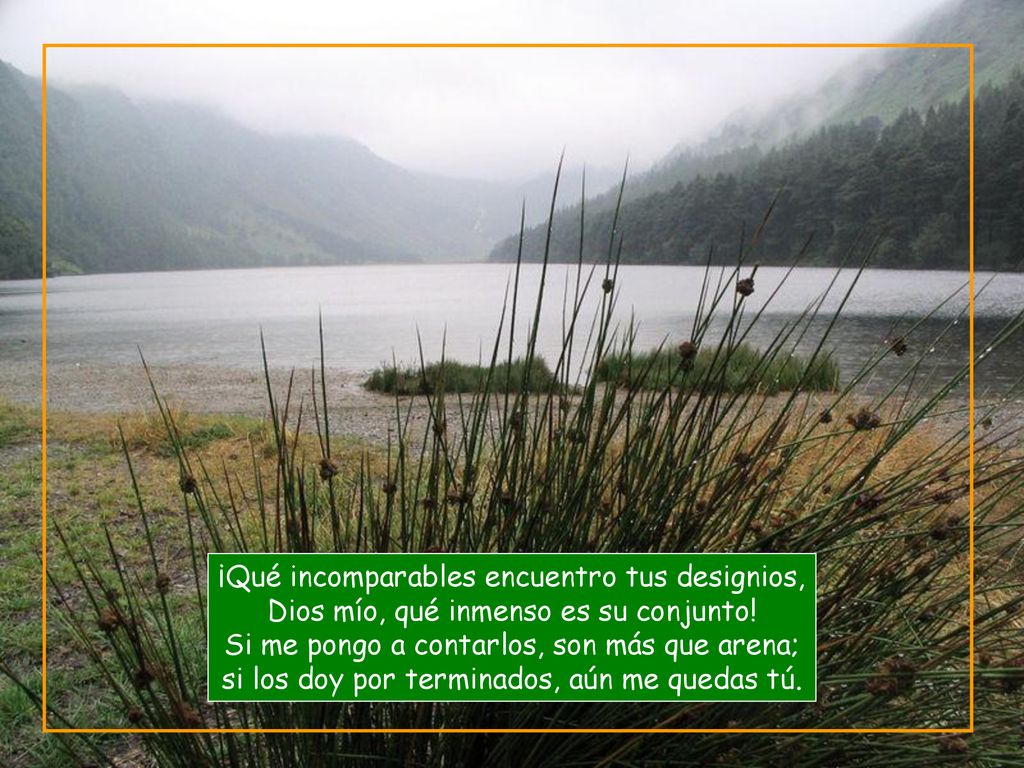¡Qué incomparables encuentro tus designios, Dios mío, qué inmenso es su conjunto.