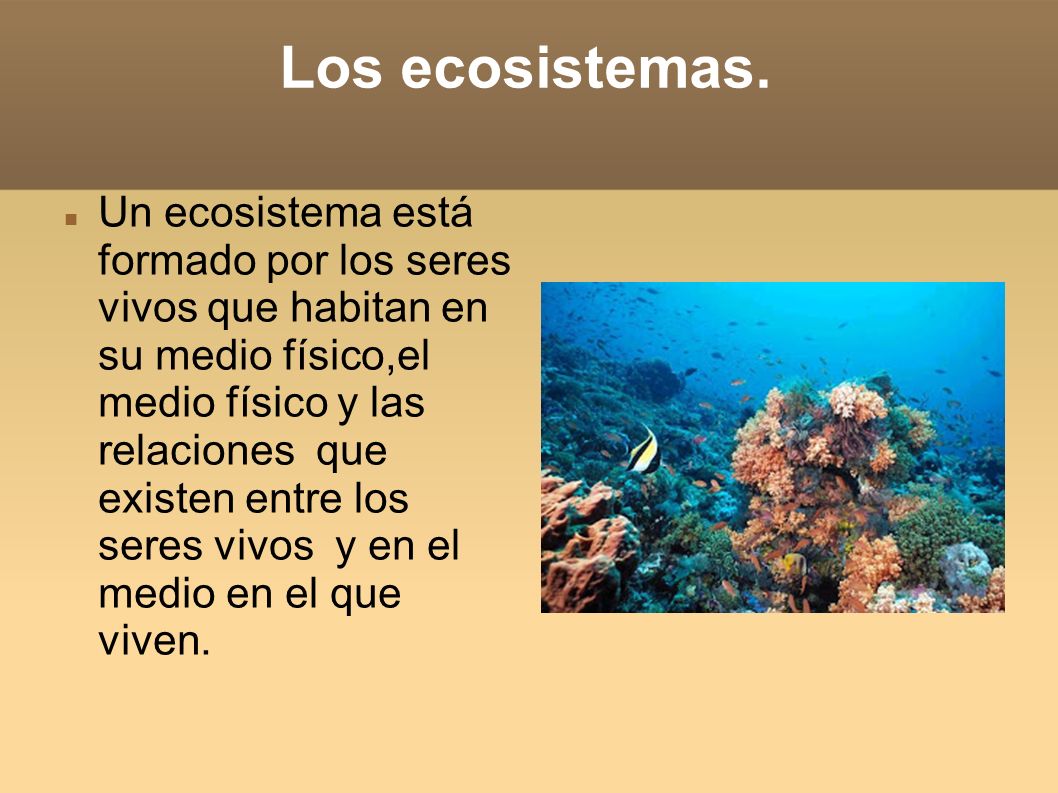 Los ecosistemas.