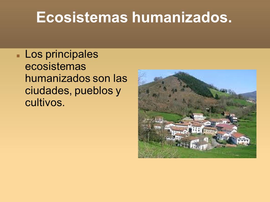 Ecosistemas humanizados.