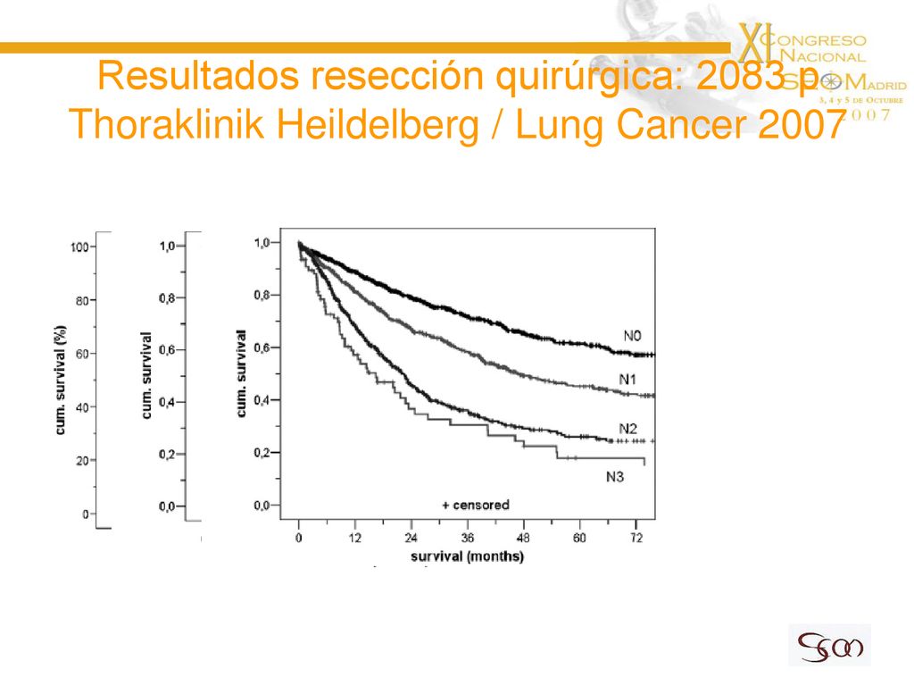 Resultados resección quirúrgica: 2083 p Thoraklinik Heildelberg / Lung Cancer 2007