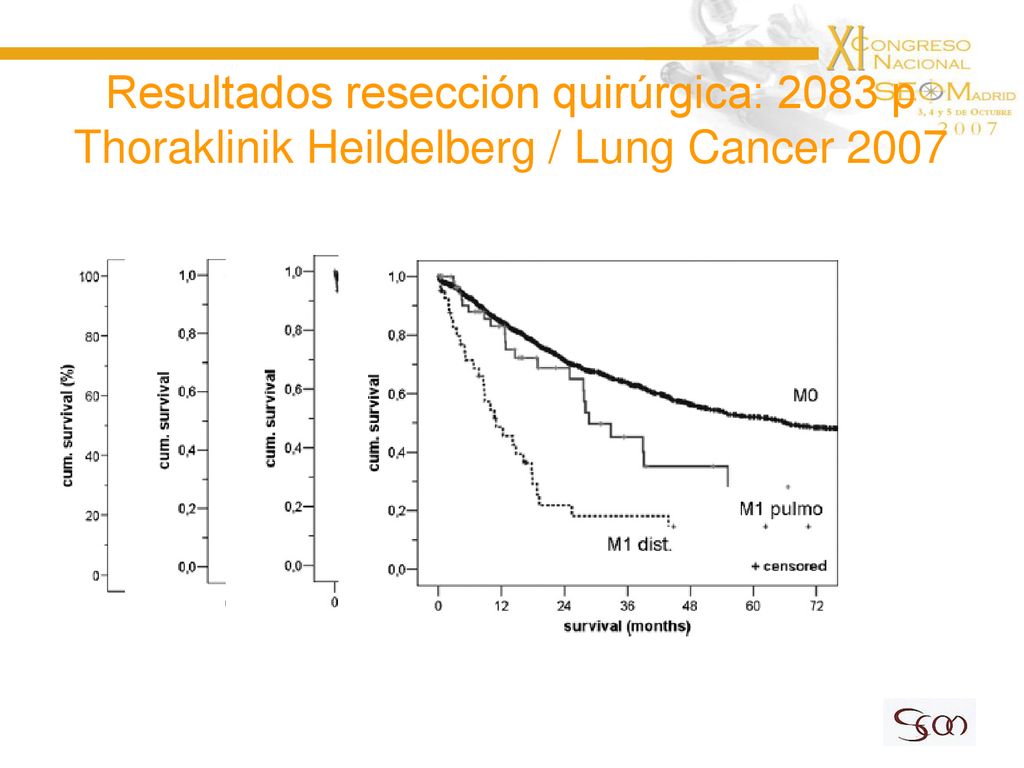 Resultados resección quirúrgica: 2083 p Thoraklinik Heildelberg / Lung Cancer 2007