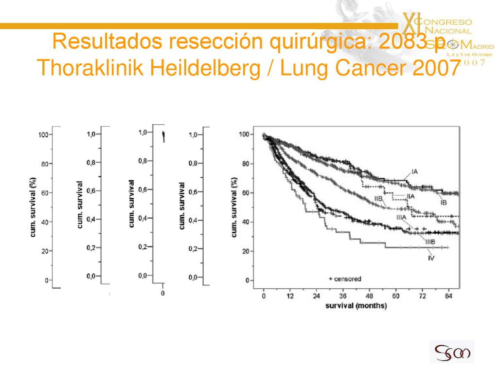 Resultados resección quirúrgica: 2083 p Thoraklinik Heildelberg / Lung Cancer 2007