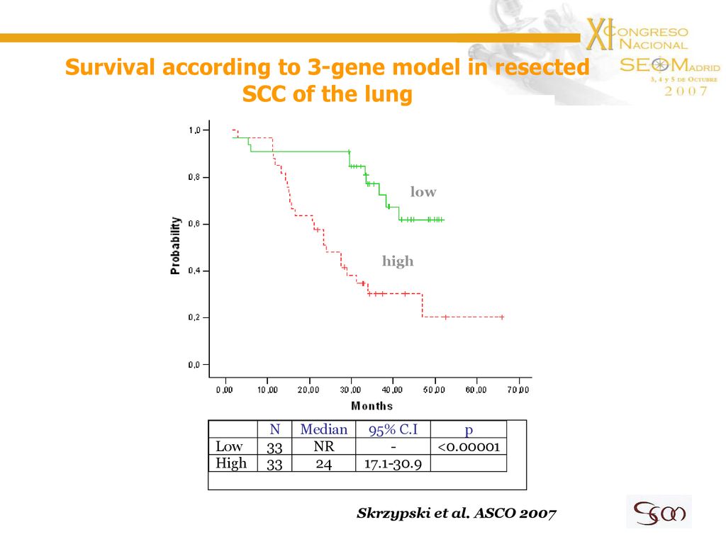 Survival according to 3-gene model in resected SCC of the lung