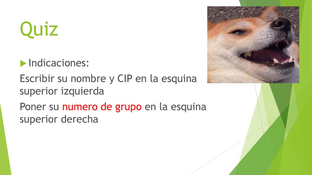 Quiz Indicaciones: Escribir su nombre y CIP en la esquina superior izquierda.