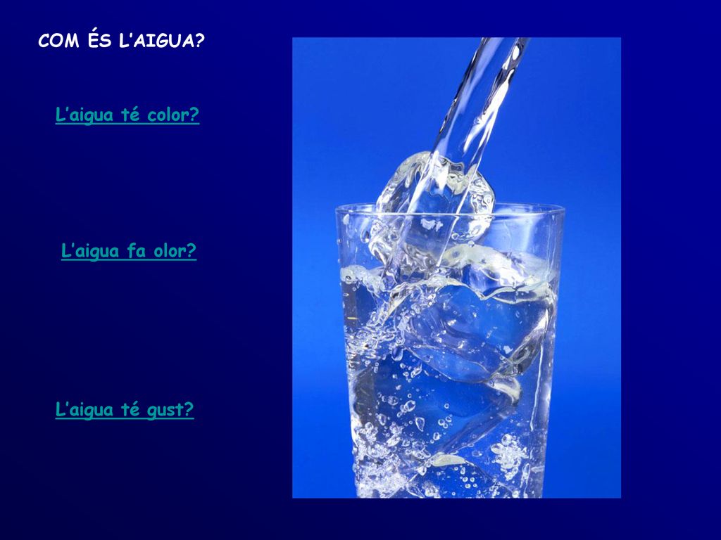 COM ÉS L’AIGUA L’aigua té color L’aigua fa olor L’aigua té gust