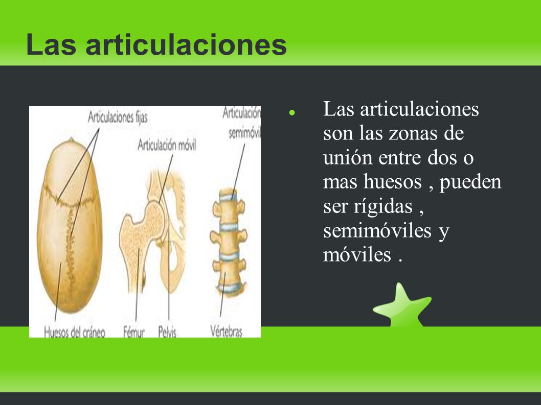 Las articulaciones Las articulaciones son las zonas de unión entre dos o mas huesos , pueden ser rígidas , semimóviles y móviles .