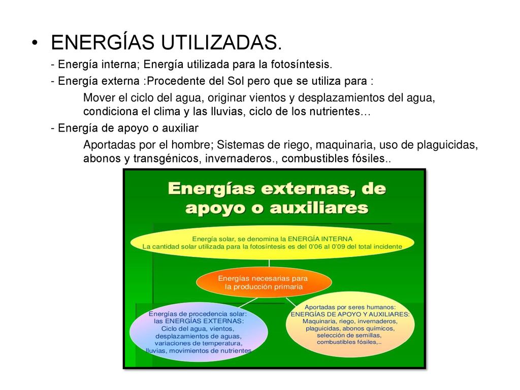 ENERGÍAS UTILIZADAS. - Energía interna; Energía utilizada para la fotosíntesis. - Energía externa :Procedente del Sol pero que se utiliza para :