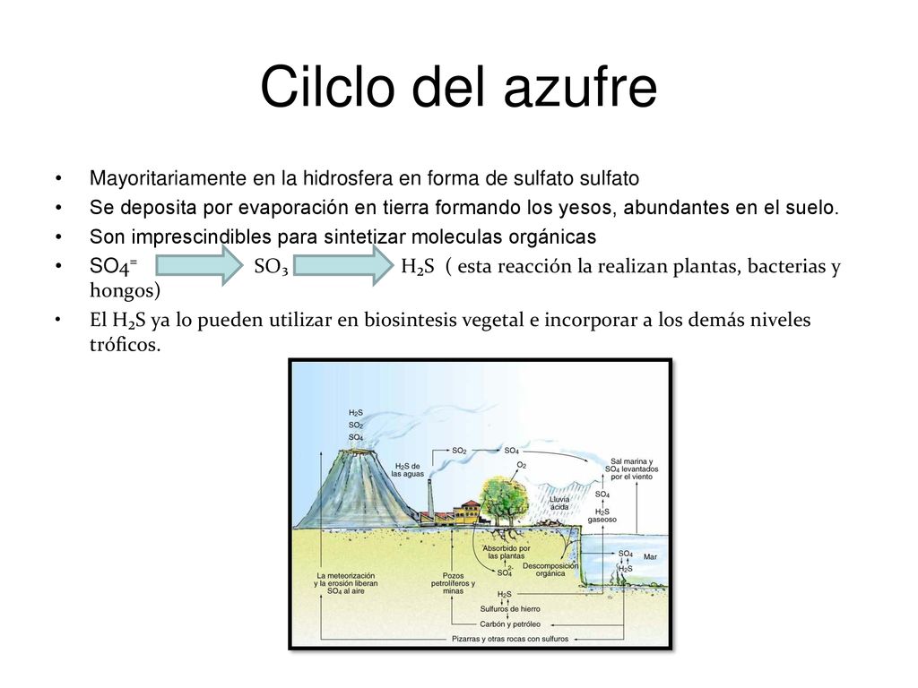Cilclo del azufre Mayoritariamente en la hidrosfera en forma de sulfato sulfato.