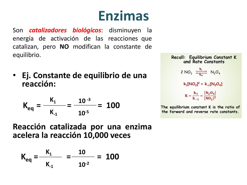 Enzimas Ej. Constante de equilibrio de una reacción: Keq = = = 100