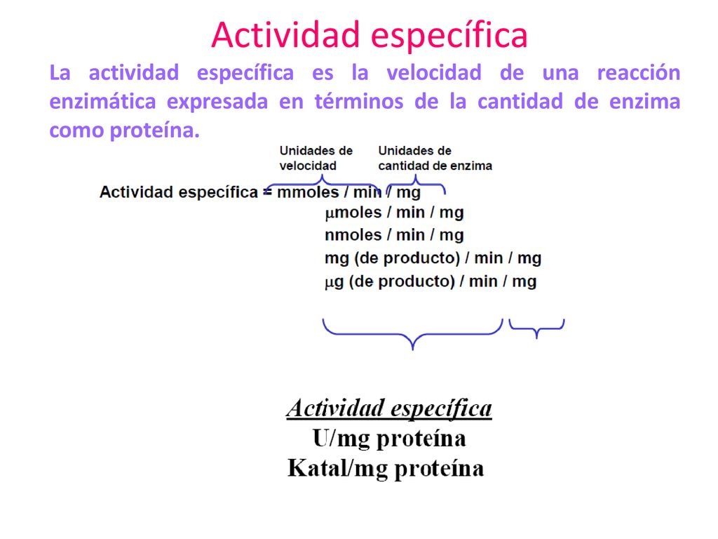 Actividad específica La actividad específica es la velocidad de una reacción enzimática expresada en términos de la cantidad de enzima como proteína.