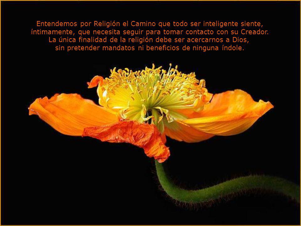 Entendemos por Religión el Camino que todo ser inteligente siente,