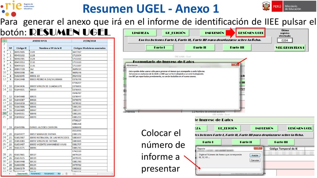 Resumen UGEL - Anexo 1 Para generar el anexo que irá en el informe de identificación de IIEE pulsar el botón: RESUMEN UGEL.