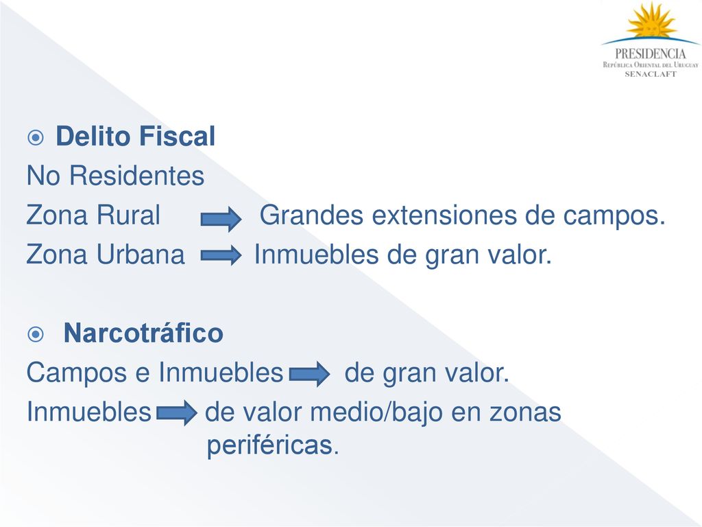 Delito Fiscal No Residentes. Zona Rural Grandes extensiones de campos. Zona Urbana Inmuebles de gran valor.