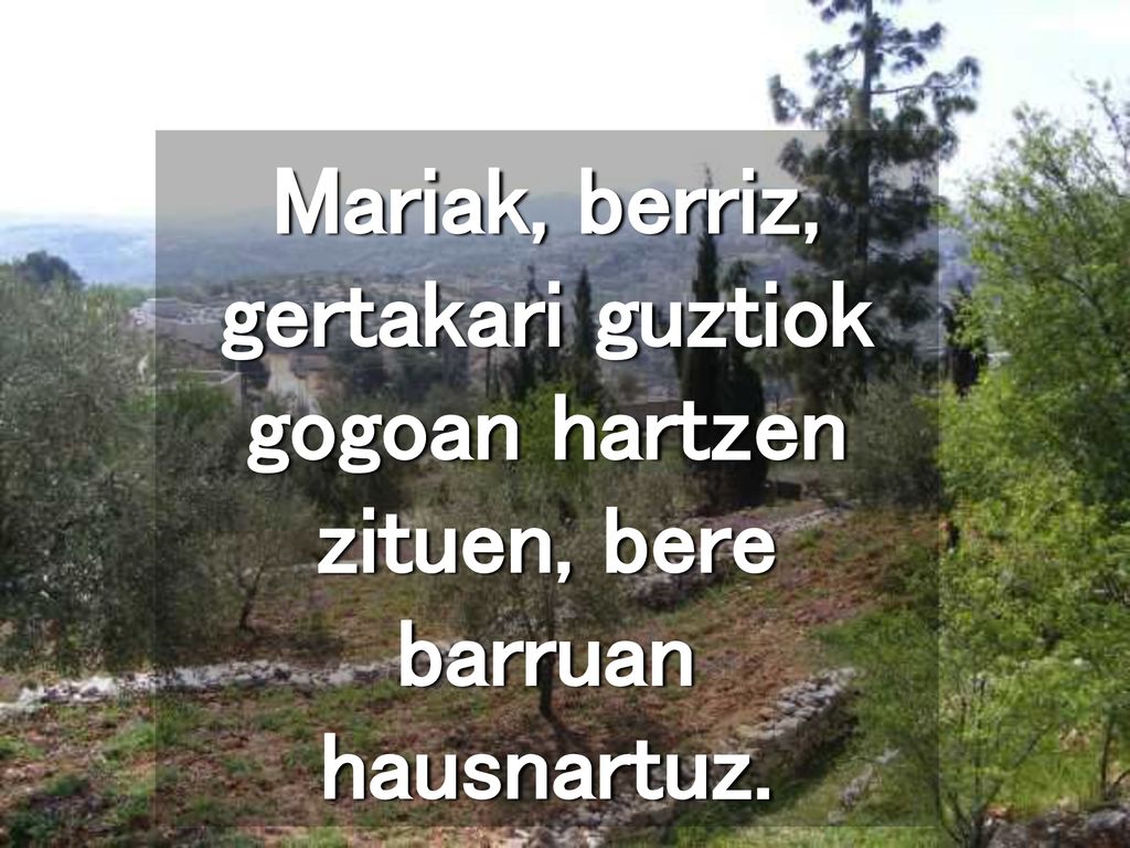 Mariak, berriz, gertakari guztiok gogoan hartzen zituen, bere barruan hausnartuz.
