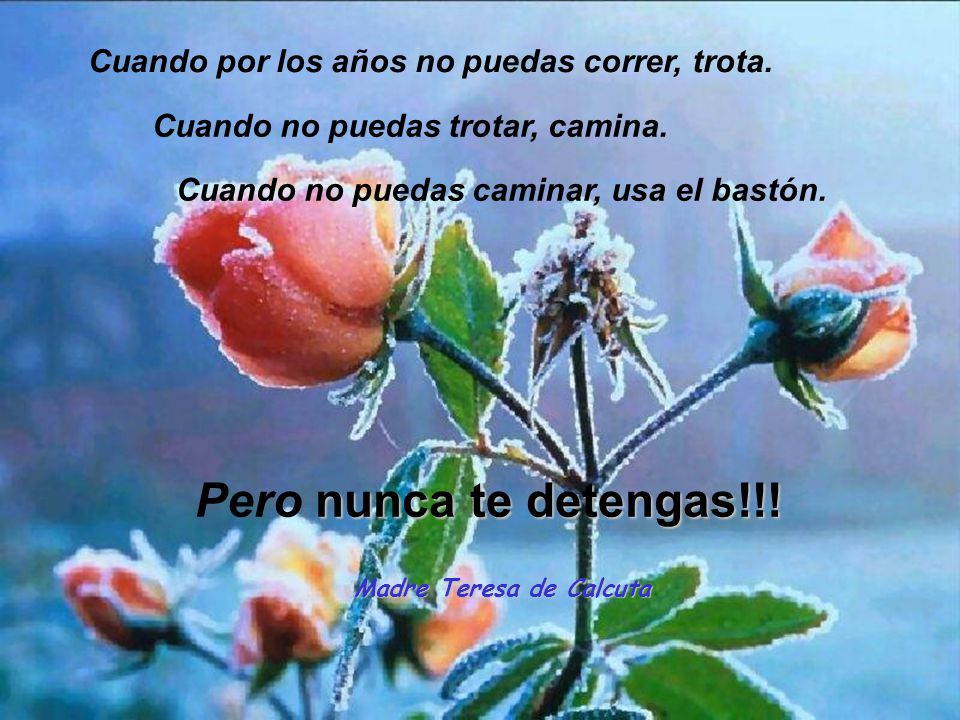 Pero nunca te detengas!!! Cuando por los años no puedas correr, trota.