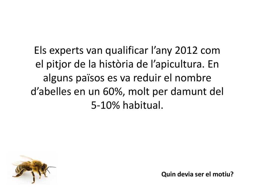 Els experts van qualificar l’any 2012 com el pitjor de la història de l’apicultura. En alguns països es va reduir el nombre d’abelles en un 60%, molt per damunt del 5-10% habitual.