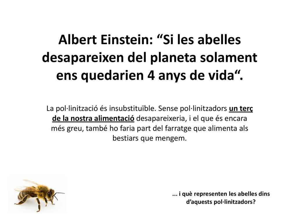 ... i què representen les abelles dins d’aquests pol·linitzadors