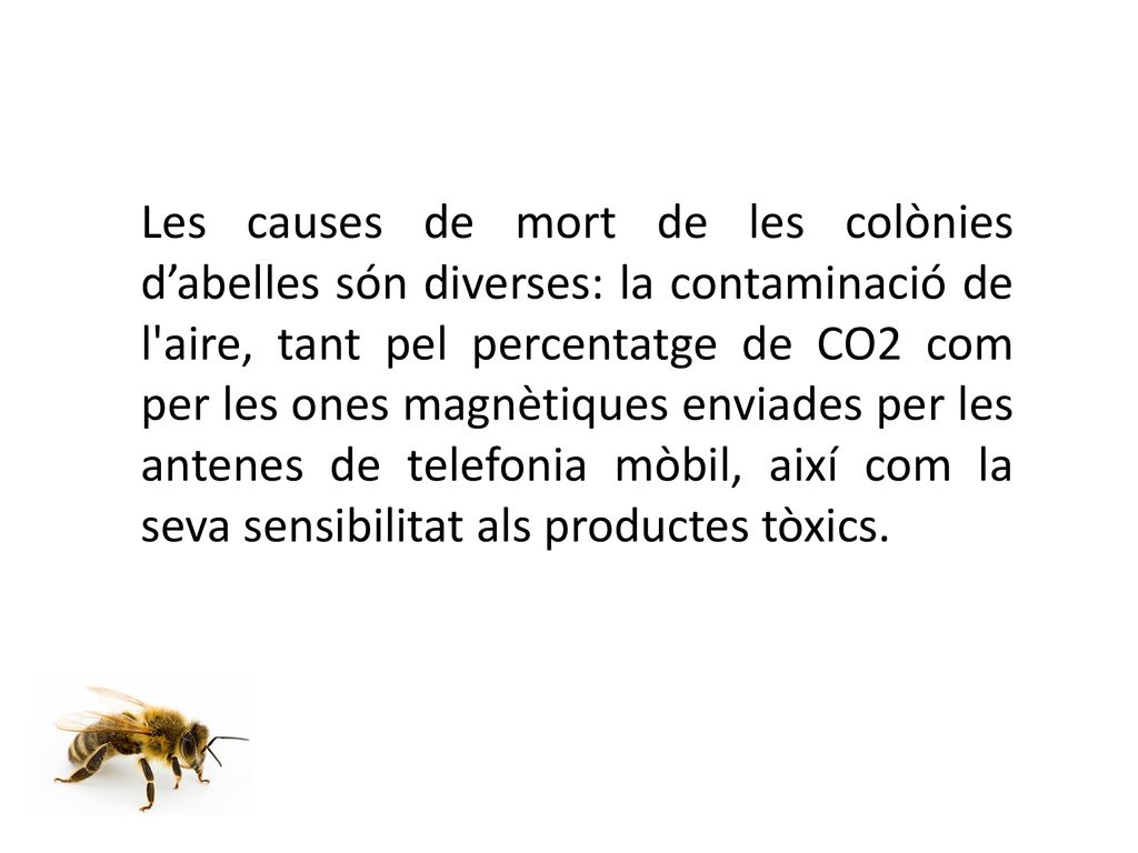 Les causes de mort de les colònies d’abelles són diverses: la contaminació de l aire, tant pel percentatge de CO2 com per les ones magnètiques enviades per les antenes de telefonia mòbil, així com la seva sensibilitat als productes tòxics.