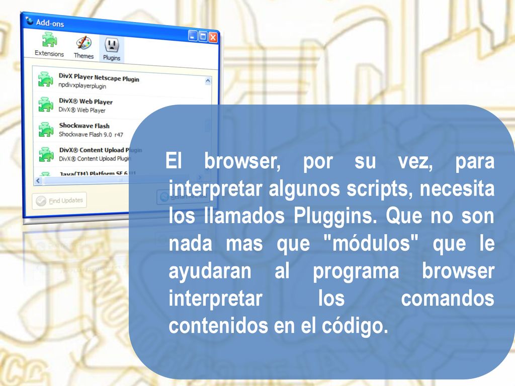 El browser, por su vez, para interpretar algunos scripts, necesita los llamados Pluggins.