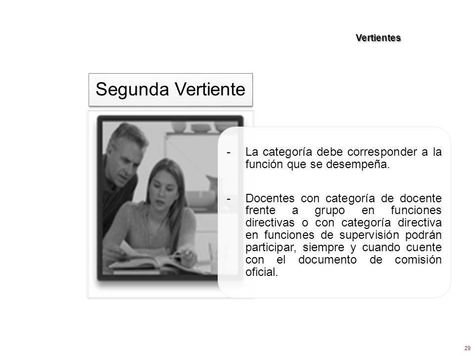 Vertientes - La categoría debe corresponder a la función que se desempeña.